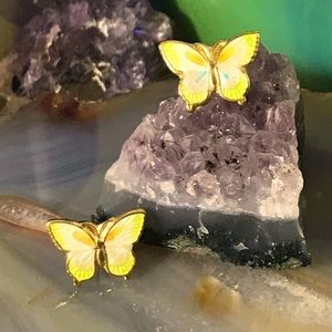 Vintage enamel butterfly earrings.